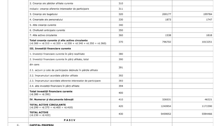 Situațiile financiare Pro Media anul 2024 .pdf-images-3