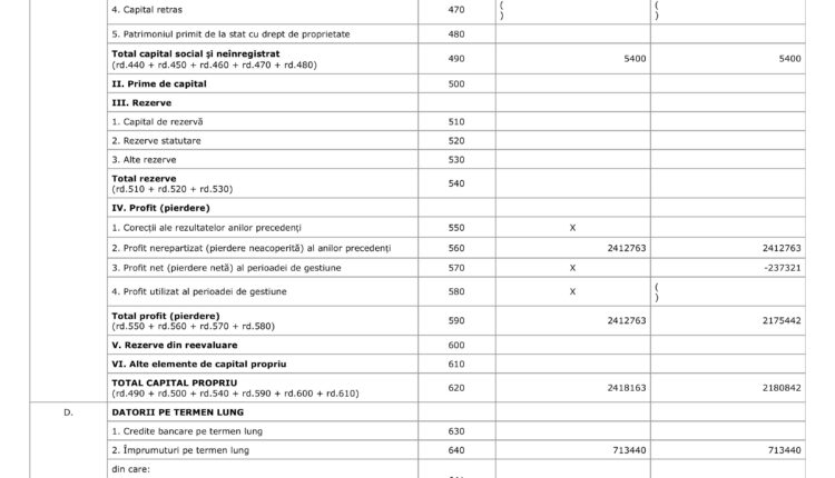 Situațiile financiare Pro Media anul 2024 .pdf-images-4