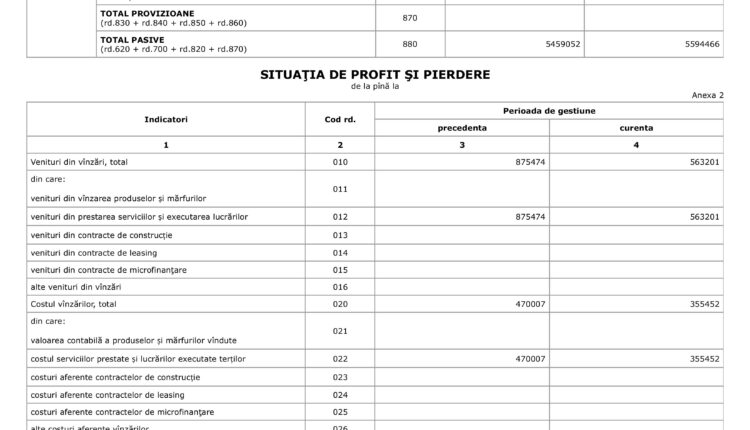 Situațiile financiare Pro Media anul 2024 .pdf-images-6
