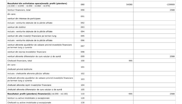 Situațiile financiare Pro Media anul 2024 .pdf-images-7
