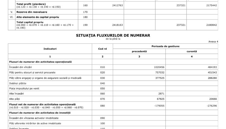 Situațiile financiare Pro Media anul 2024 .pdf-images-9