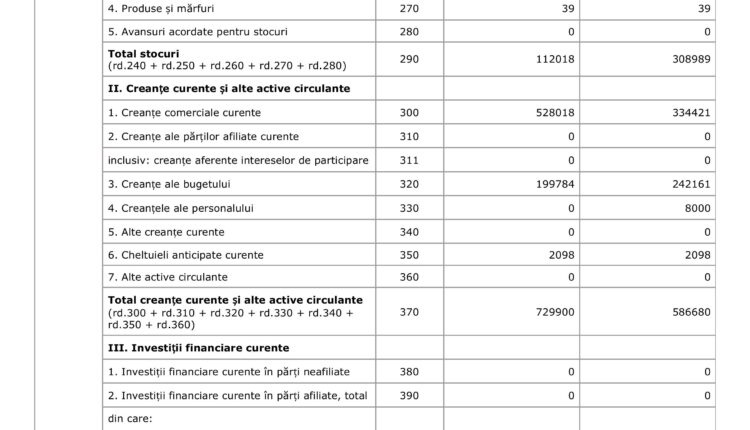 situatii financiare 2025 (1)-images-2