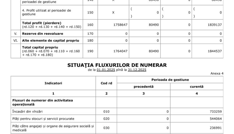 situatii financiare 2025 (1)-images-7