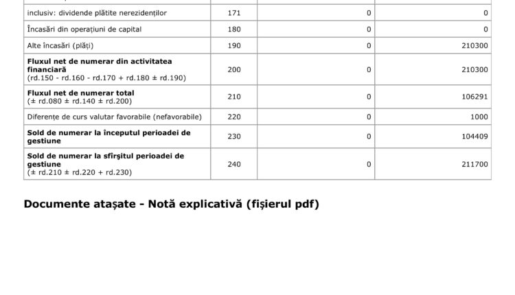 situatii financiare 2025 (1)-images-8