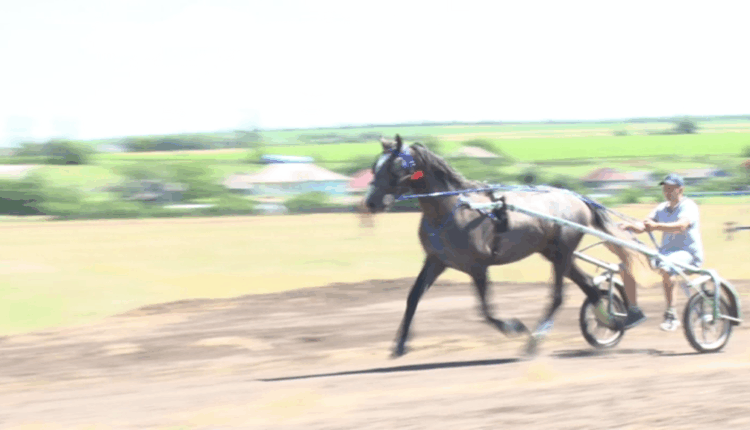 vlcsnap-2026-06-23-12h43m05s199
