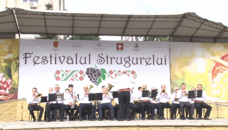vlcsnap-2026-08-25-13h34m05s108